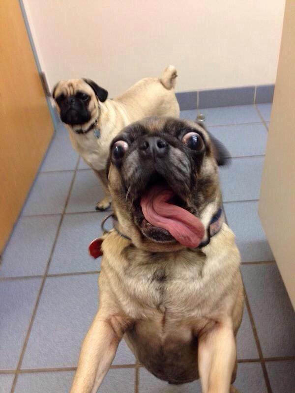 When you check your snapchat story after a night of being hammered