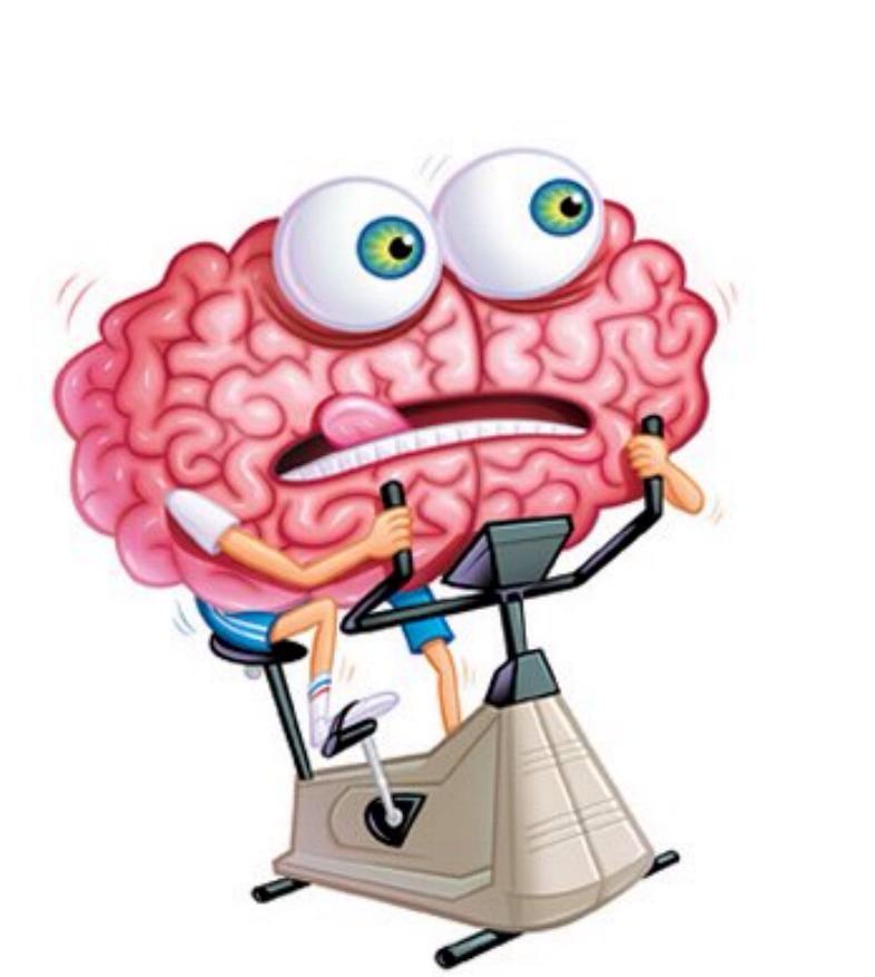 fundaserecol tweet picture