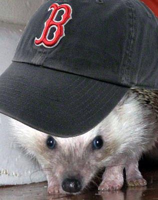 LCSDMath's tweet image. Haha! Found this flashback on my iPad. Isn&apos;t it my old avatar from when I was Cpt Bad Idea @mikeandallie ?