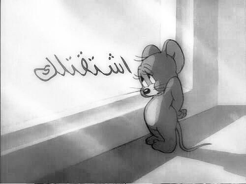 Luay82Sl's tweet image. أشتقتلك يا أغلى وأحلا مدينه 😭الرمادي😭
وربي يحفظك يا عراق❤️