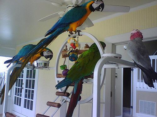 SamerMove's tweet image. hi