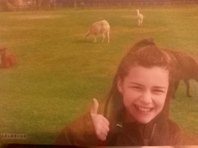 BurnXx999's tweet photo. @AmazingPhil Some pics of my trip to the zoo. Ps: I passed the lamas http://t.co/0c6EZ3HjIN