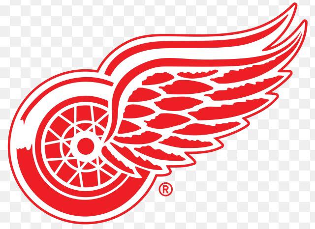 NHL_goals16's tweet photo. Round 1 Winner:

RT for Red Wings
Fav for Lightning http://t.co/x8L7Lmqdl2