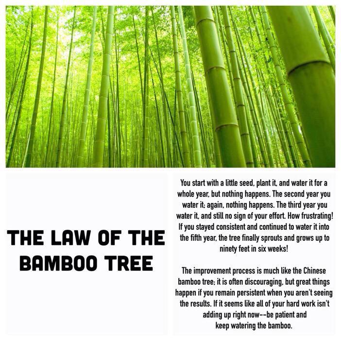 Dave Staggall tweet media