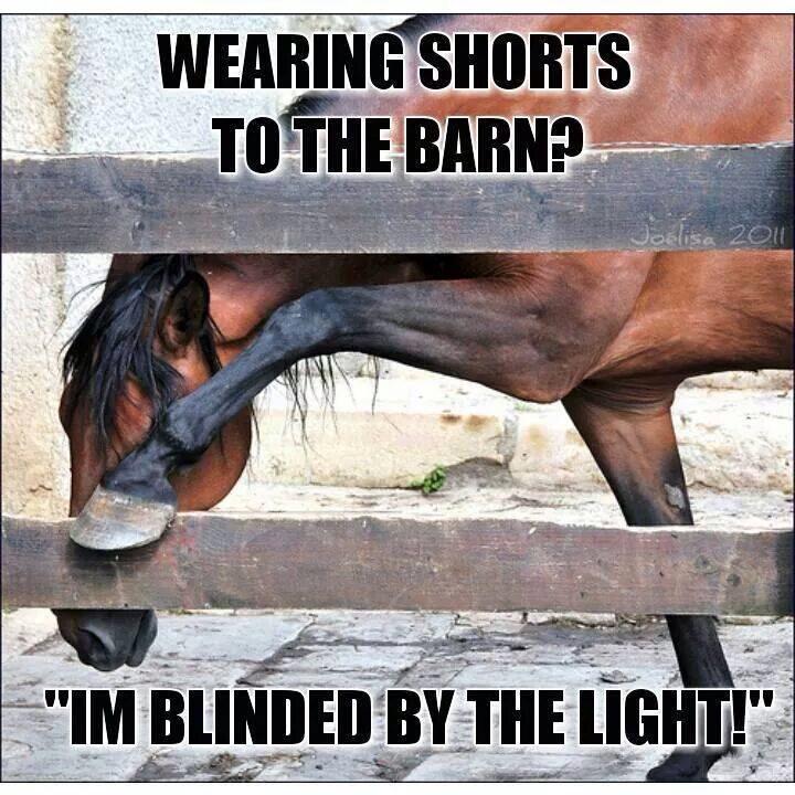 racing_fillies's tweet photo. Yes, I did!!! Cover your eyes!! #shorts #tanless ππππ http://t.co/UDNhqJ4pVl