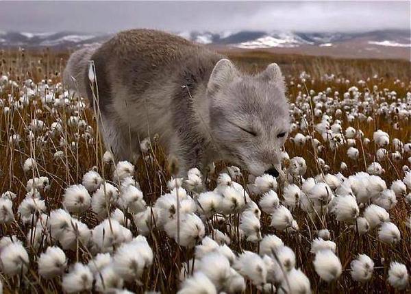 В Германии жестоко убит беженец из Украины - Цензор.НЕТ 3886