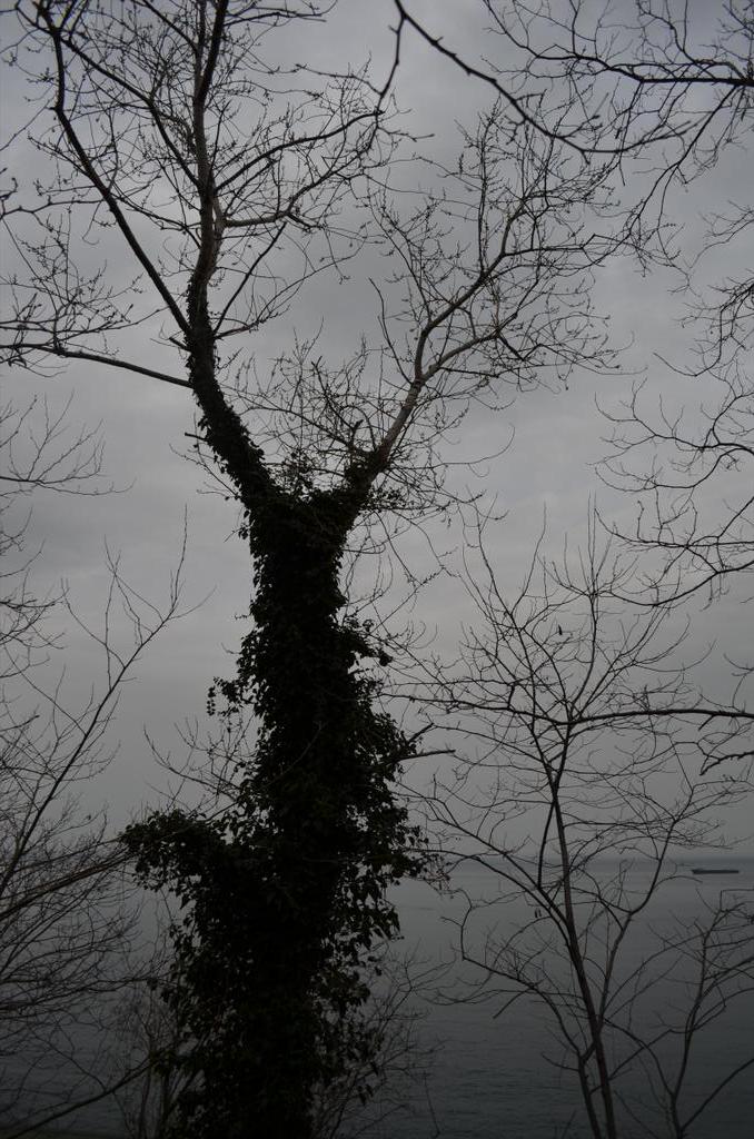 KOZLU HEM (@kozluhem) on Twitter photo 