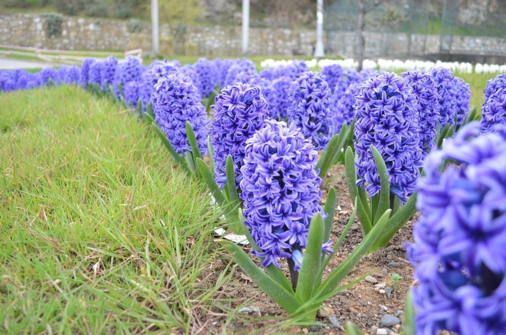 KOZLU HEM (@kozluhem) on Twitter photo 