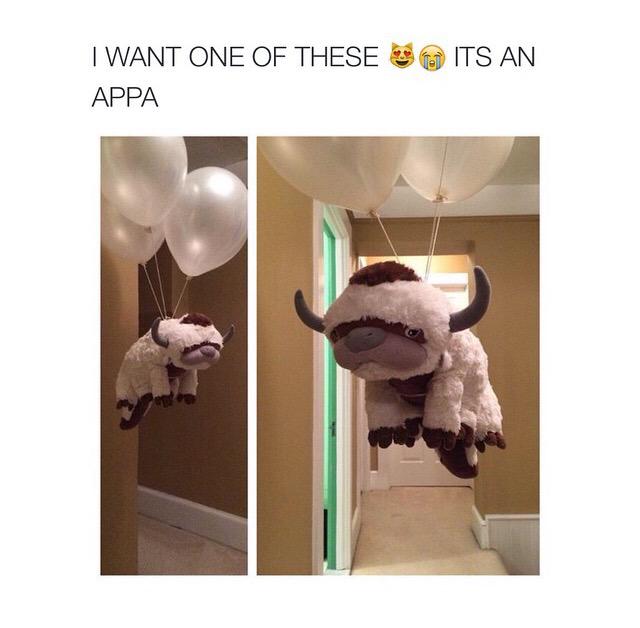 shirinsnutella's tweet photo. Irgendwann wird @ShirinDavid das haben😂😍👍 http://t.co/HEcFHEKb7n