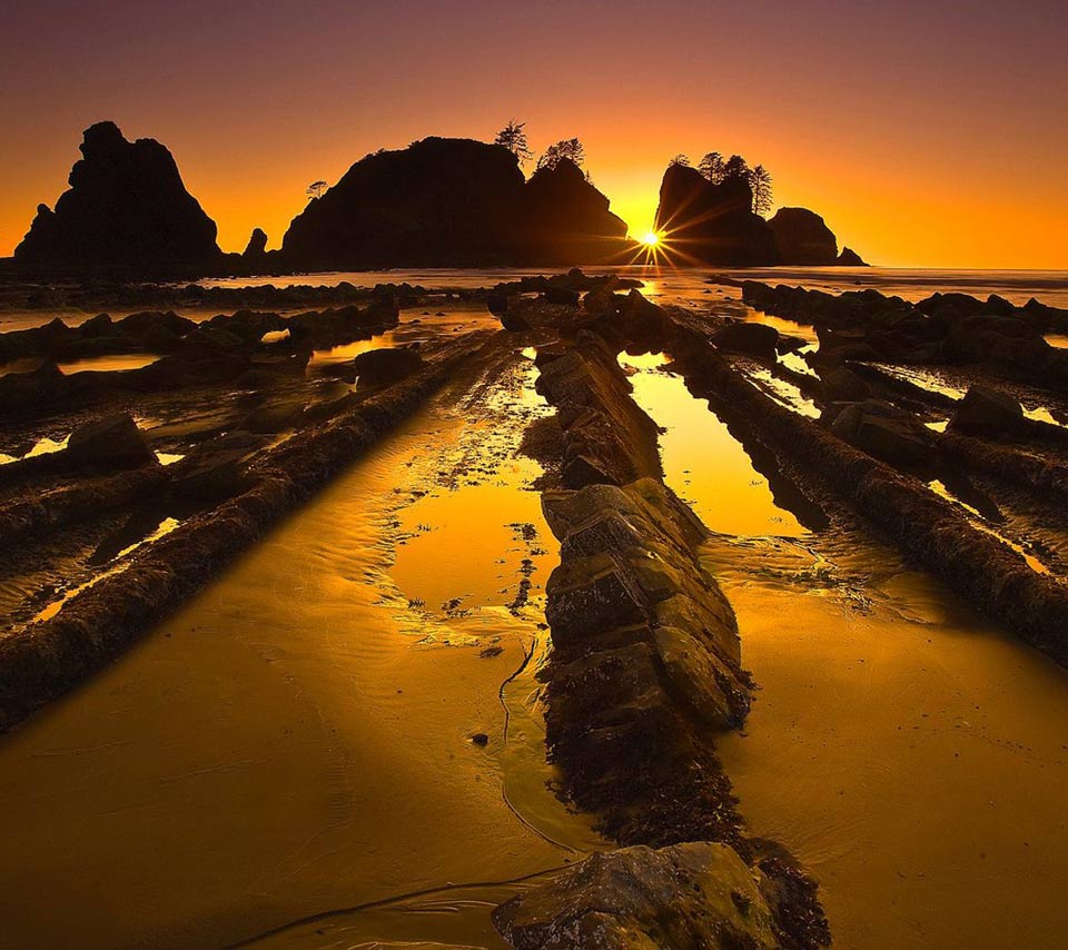 Olympic National Park #AmericanNature