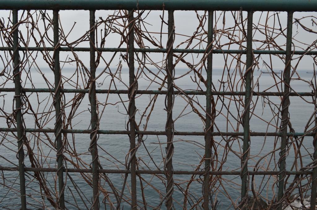 KOZLU HEM (@kozluhem) on Twitter photo 