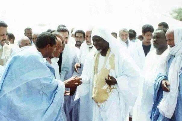 gotiolaone's tweet image. 