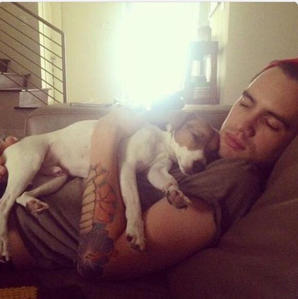A big happy birthday to Brendon Urie       