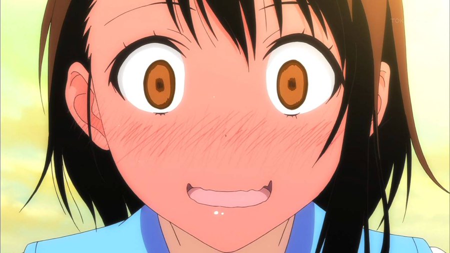 ニセコイ 小野寺小咲は振られてかわいそう その後は別の誰かと結婚したの ファンタジーアニメの入口