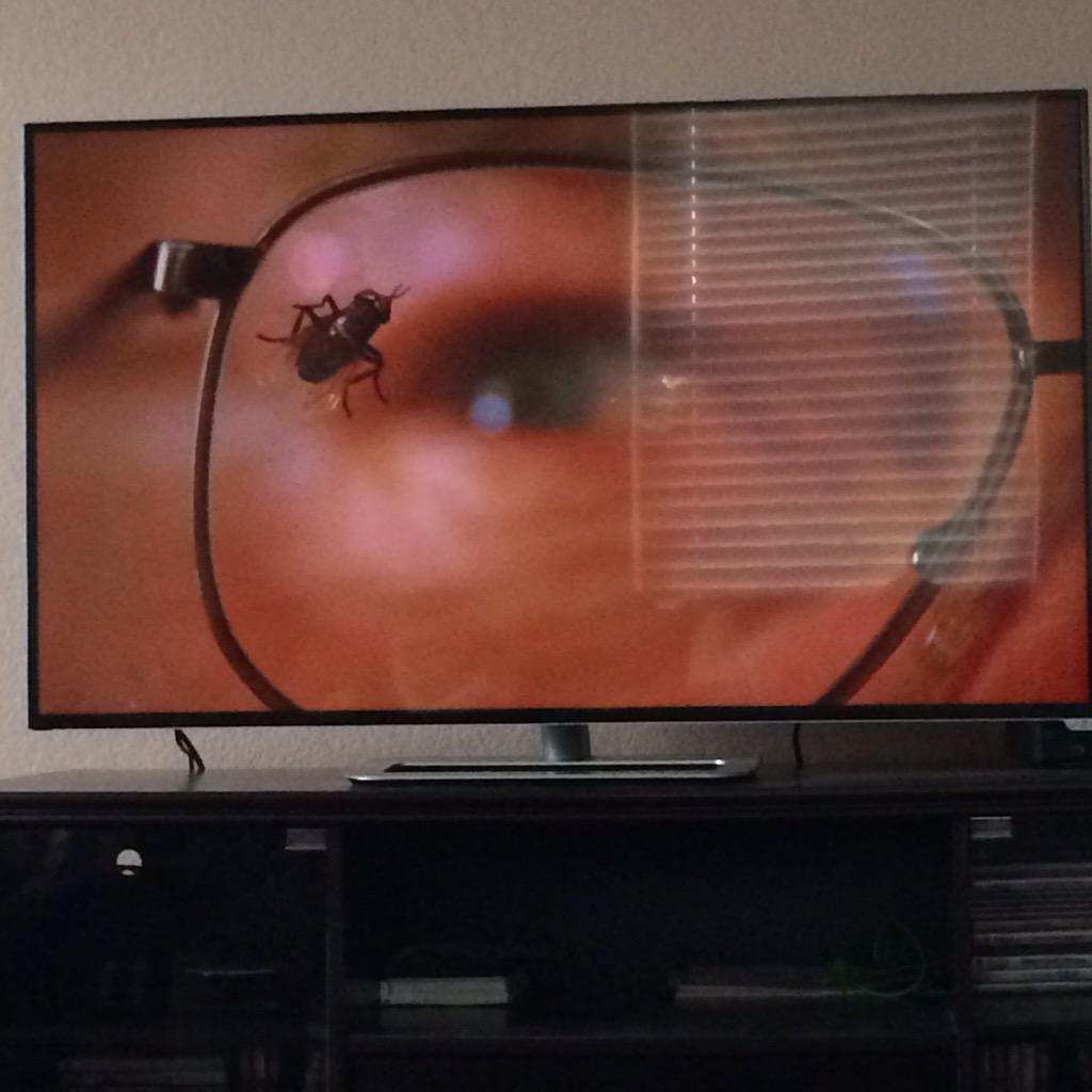 imfinishedhere's tweet photo. #TheFlyEpisode http://t.co/h1Zc7VHRHl
