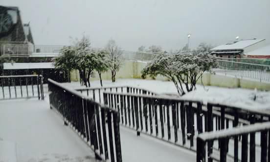 webcamsdemexico's tweet photo. NIEVE en Primavera en México. Así Creel #Chihuahua este domingo. Vía @AlonsoMendezTor. Sin palabras... http://t.co/jiSTIWzua8