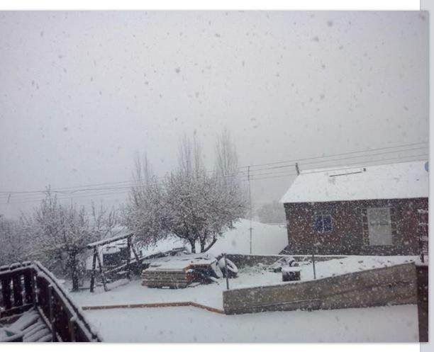 webcamsdemexico's tweet photo. NIEVE en Primavera en México. Así Creel #Chihuahua este domingo. Vía @AlonsoMendezTor. Sin palabras... http://t.co/jiSTIWzua8