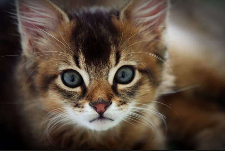 I jak tu nie kochać takich cudownych stworzeń ;) pamiętajcie o naszej stronie i dostępnych już nowościach ;)