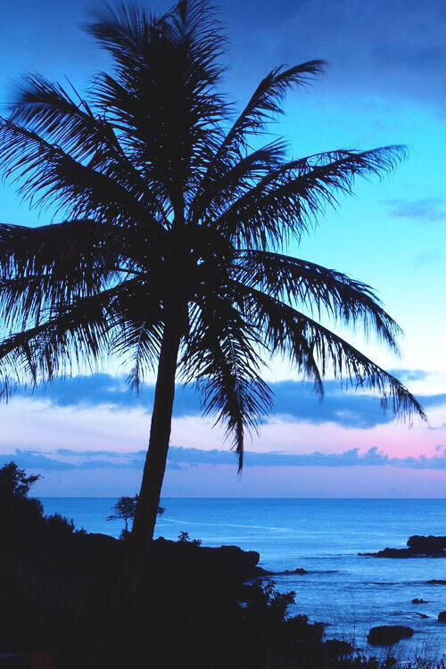 namoraste's tweet photo. Fechar os olhos, e despertar aqui. 🌴🙌 http://t.co/QA9v9OQ6fi