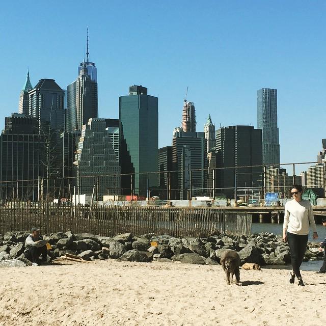 ccviola's tweet photo. Sunday Funday! #brooklynbridgepark #marleybear https://t.co/PCHvjnrxvi http://t.co/c4x5obv4Sl