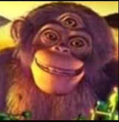 RegisMonkey tweet picture