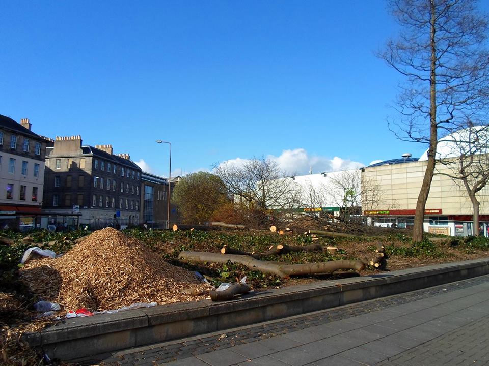 edinspotlight's tweet photo. Really @EdinburghUni did you have to cut all the trees down at Bristo Square? 
#raging http://t.co/9c2gPtqd5d