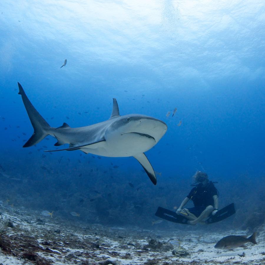 PhotographStory's tweet image. 25 Magnificent Monochrome Images #PhotographyTipsandTutorials goo.gl/ZOho2j