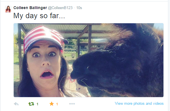 flawlesscolleen's tweet image. @ColleenB123 #winninglikeaboss