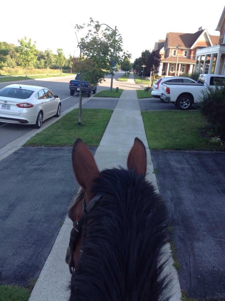 Bae: "come over" 
Me: "but I'm riding my horse right now" 
Bae: "but no ones home" 
Me: