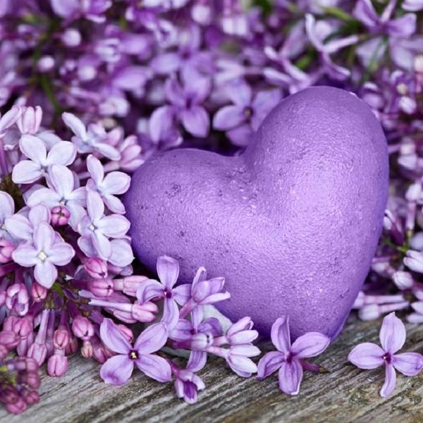 "<a href="/KElhlo/">Khaled Elhelw</a>: "