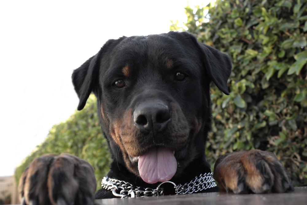 NFU Mutual tweet media