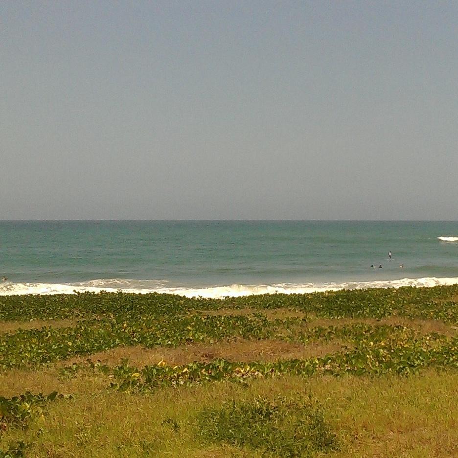 With friends <a href="/surfreportvzla/">JUAN FIGUEROA</a>  #ecosystems #Overheadlifestyle #surfer #Venezuela #surfing #nature #oceans #picoftheday