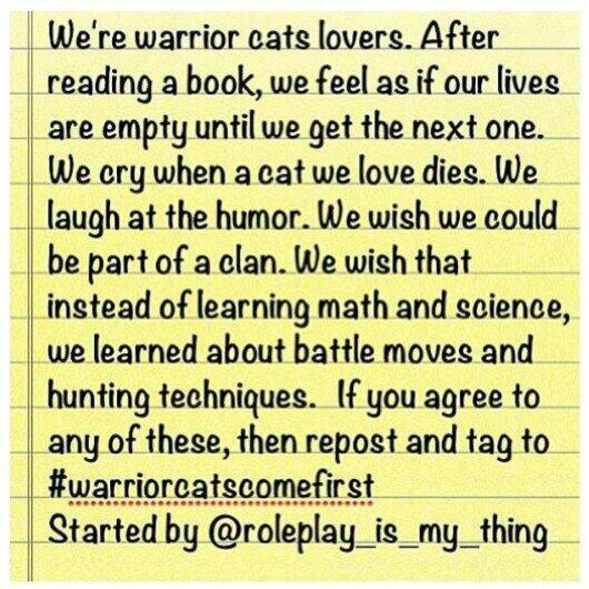 Only for fans of Warrior cats!