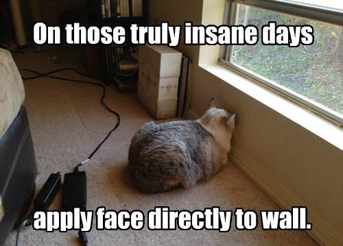 fitspoway tweet picture