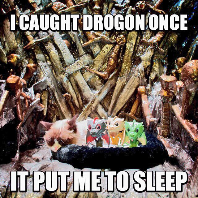 RealGrumpyCat's tweet photo. I caught Drogon once... #CatchDrogon @GameOfThrones @HBO http://t.co/JMnqUElIAE