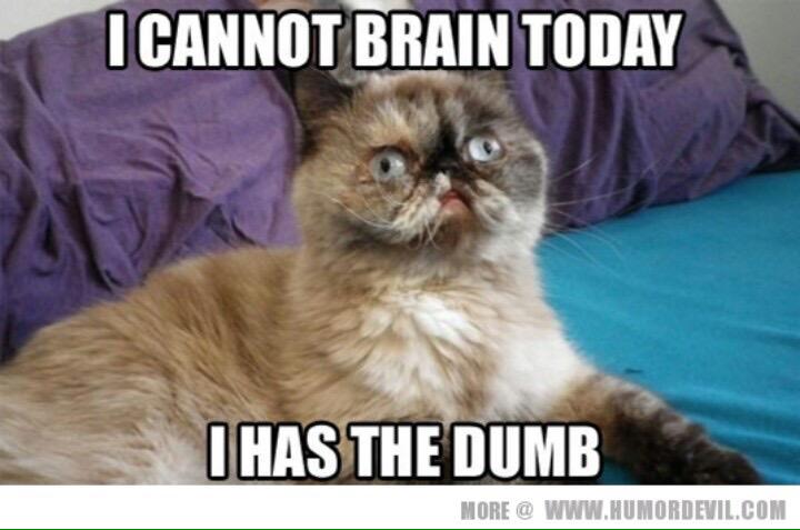 mdubbs19's tweet photo. So much procrastination.... #lazysunday #mondaygoaway http://t.co/PYVLnyJJ37