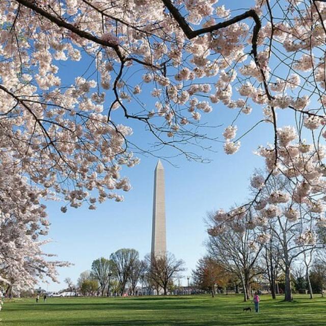 BimmerPilot's tweet image. #WTOP #cnnspring