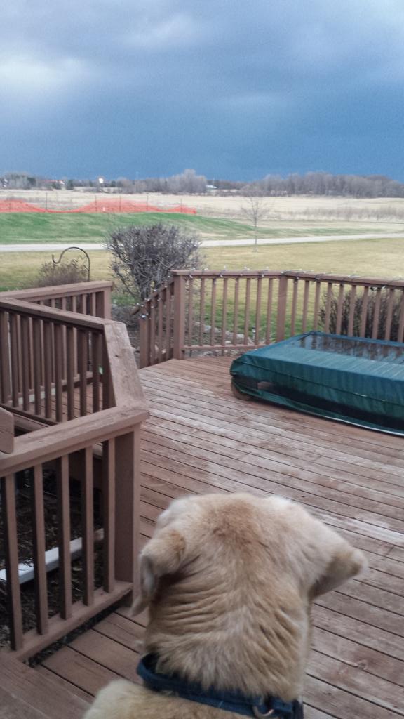 kmcerney's tweet image. Watching the storms roll in.... #mnspring #weather
