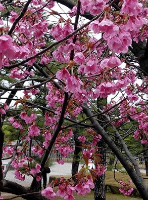 bin168's tweet photo. TAKAMATSU CITY,JAPAN. http://t.co/GOlxna6aVo