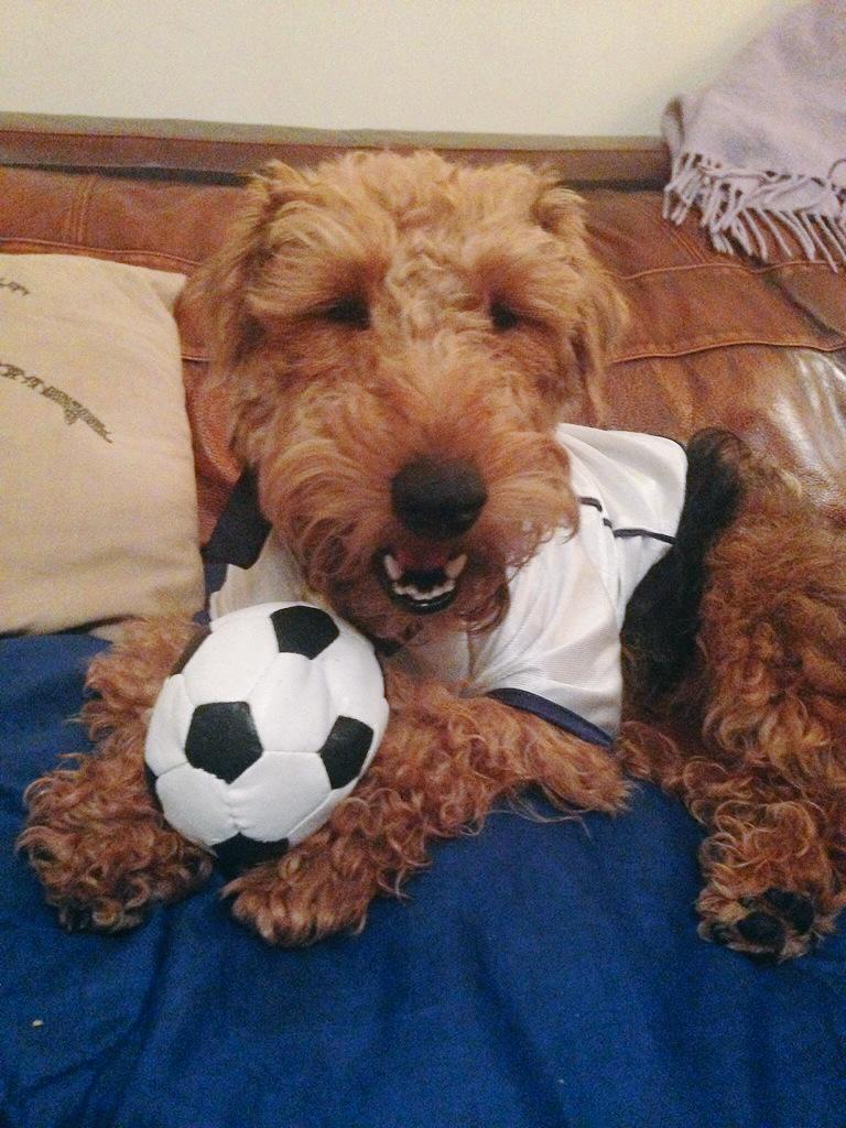 LottieTheWelsh's tweet photo. The most gorgeous girly ever. I love you so so so much. http://t.co/pls1ADSsOQ
