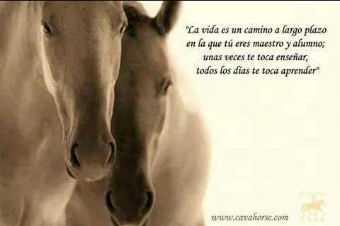 cuadralos4t's tweet photo. Buenos días!! http://t.co/LZotOjSpba