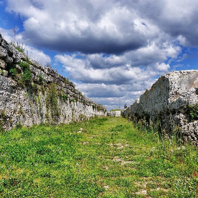 ViaggiaredaSoli's tweet photo. Fossato dei resti messapici di #Manduri #Puglia #SalentOlistico #tbnet #weareinpuglia #latergram http://t.co/jNNajiKUg9
