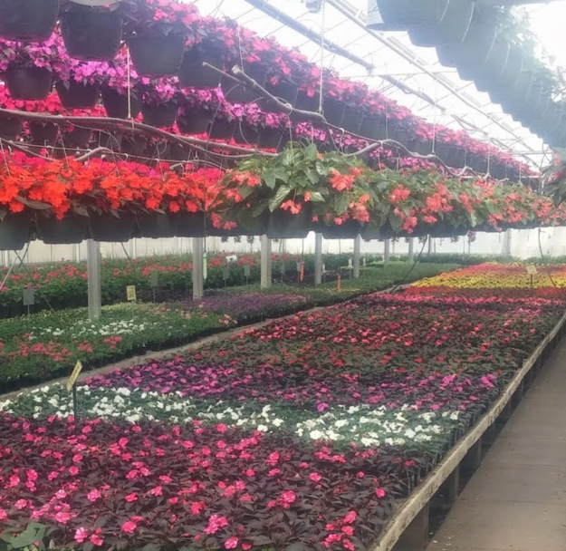 MplsFarmMarket tweet media