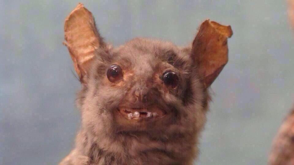 LoveIyPosts's tweet image. "Are you almost ready?"
Me: