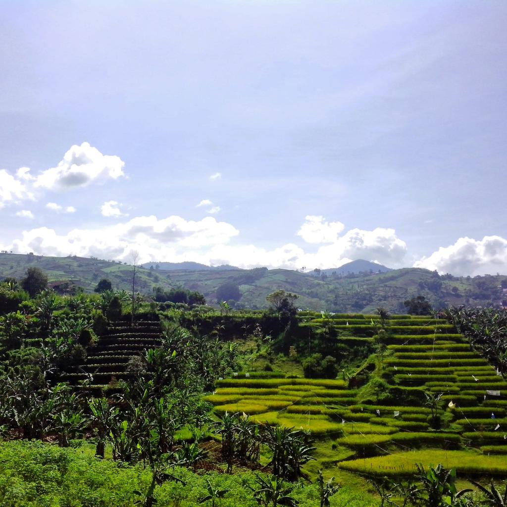 PGCUnpar's tweet photo. Let me introduce you about this place. this is Cimenyan Village. looks how beautiful this scenery #nature#indonesia http://t.co/PDH7nGkVYN
