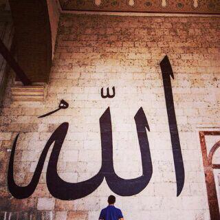 H7_sm tweet picture