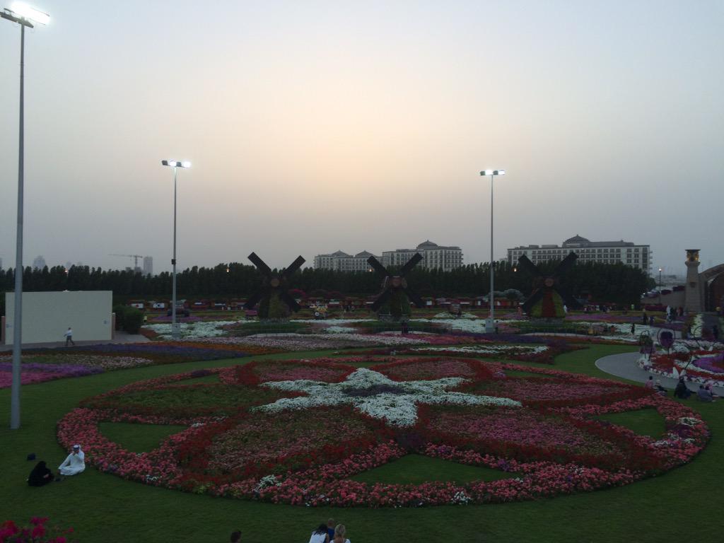 البيت متوحد tweet media