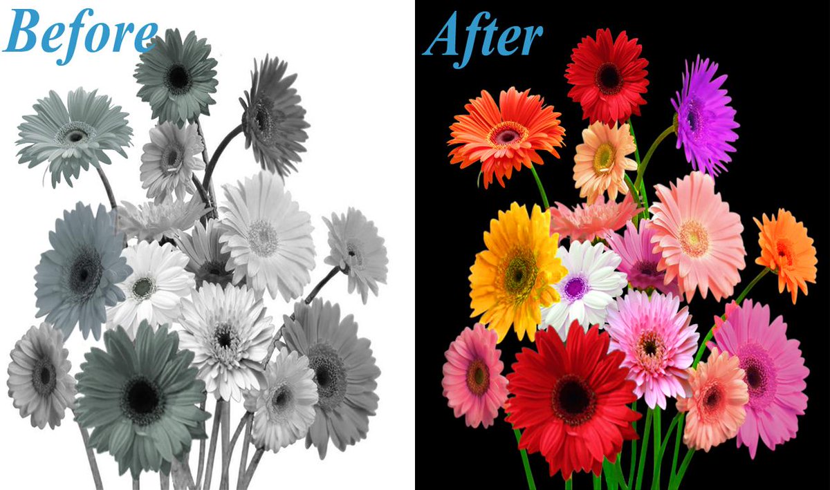 Ritalora1's tweet photo. http://t.co/94p4huV25P offers quality hand drawn #ClippingPath or #ColorCorrectionServices http://t.co/ROw1zXejrh http://t.co/7lKMqsLOqA