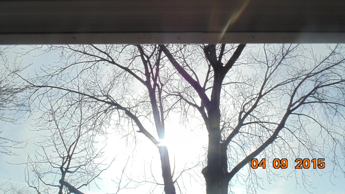 CTVWeather  tweet media