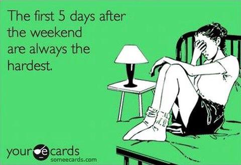 bplwebdesign's tweet image. And so begins a new week and busy schedule at the #OneTwoHQ incl. Wordpress updates, on-line adverts &amp;amp; logo design 🐣